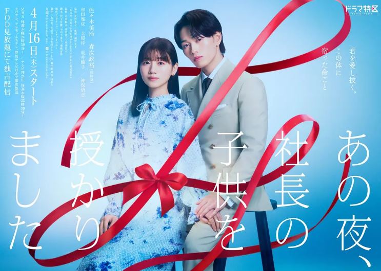 那一夜，我怀了社长的孩子