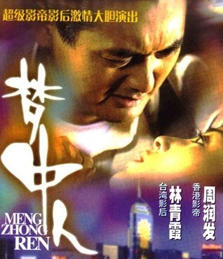 梦中人DVD国语中字经典