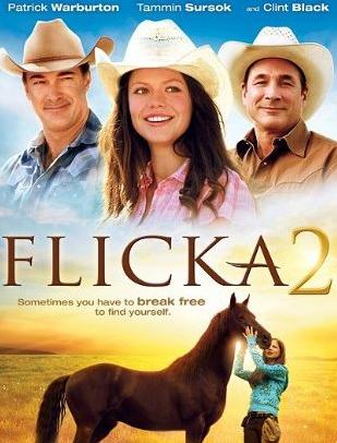 弗利卡2/真我无缰2BD中