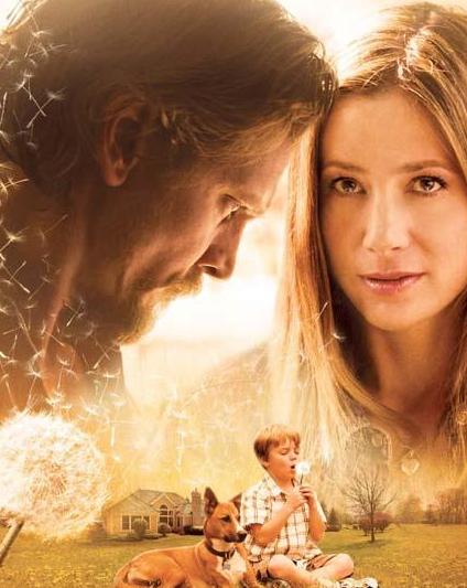 蒲公英的灰尘BD中英双