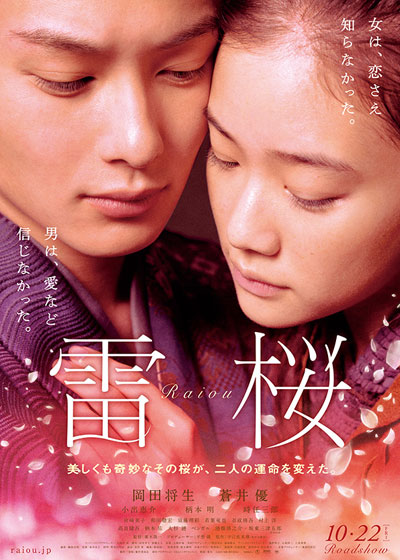 雷樱DVD中字2010爱情