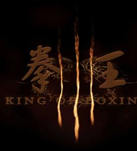 拳王HD国语中字1024高清