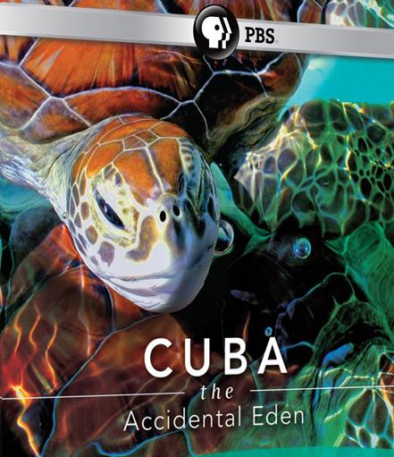 古巴:意外的伊甸园