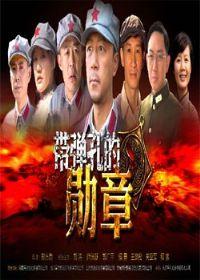 弹孔DVD全集2011热播剧