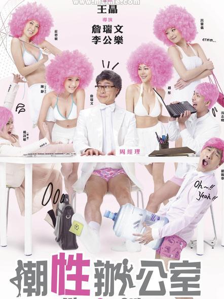 <b>潮性办公室DVD国语中字</b>