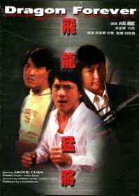 飞龙猛将HD国语中字