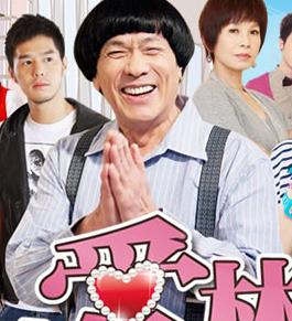 珍爱林北第11集[国语字