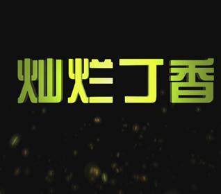 灿烂丁香HD国语中字