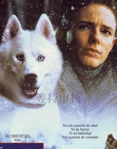 决战冰河DVD中英双字经