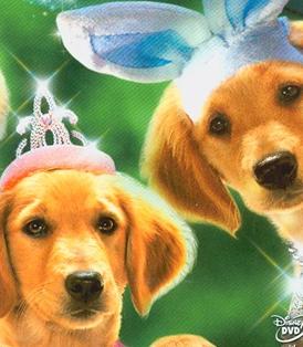 恐怖狗狗BD中英双字