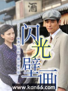 闪光壁画DVD中字2011剧