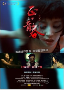 <b><font color='#FF0000'>正·青春/土与火DVD国语</font></b>