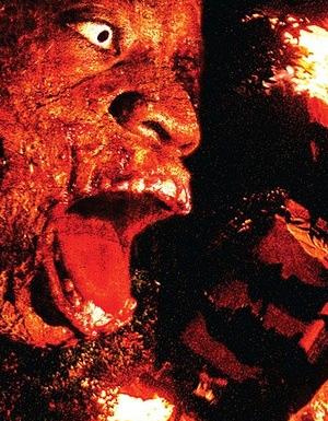 尸地余生(僵尸非洲)