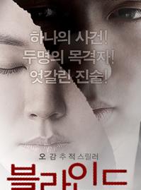 盲 DVD中字韩国2011惊悚