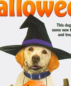 妙狗拯救万圣节DVD中英