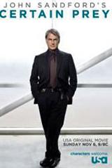 猎杀2011HDTV中字2011美国