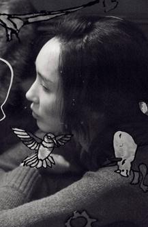 北村方向DVD韩语/中文