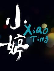 小婷DVD国语中字2011最