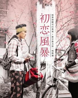 初恋风暴DVD国语中字