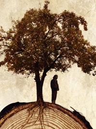 安纳托利亚往事DVD中英