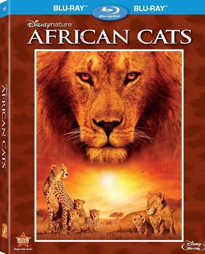 <b><font color='#FF0000'>非洲大猫BD1280高清中字</font></b>