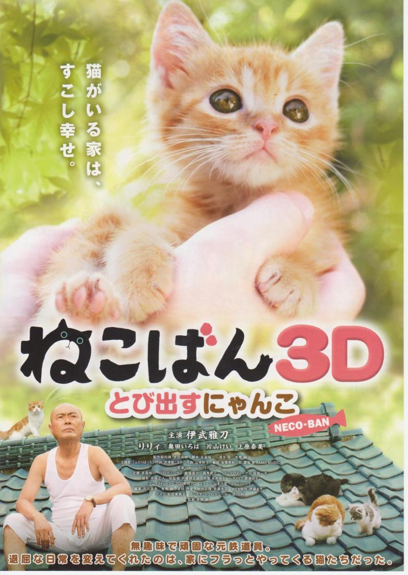 <b><font color='#FF0000'>小猫跳出来粤日双语</font></b>