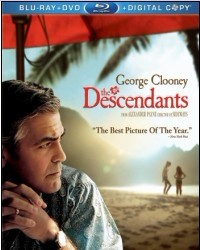 <b><font color='#FF0000'>后裔/后人/继承大丈夫</font></b>