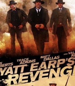 执法悍将DVD中字2012剧