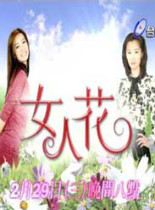女人花港台剧40【完】