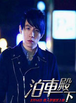 泊车殿下港台剧6