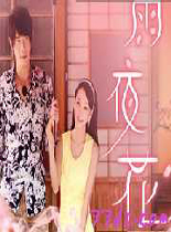 雨夜花港台剧21
