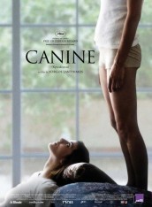 <b><font color='#FF0000'>狗牙/犬齿之家BD1280高</font></b>