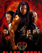 黑色眼镜蛇DVD中字20