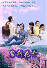 <b><font color='#FF0000'>紫荆花开高清华农原创</font></b>