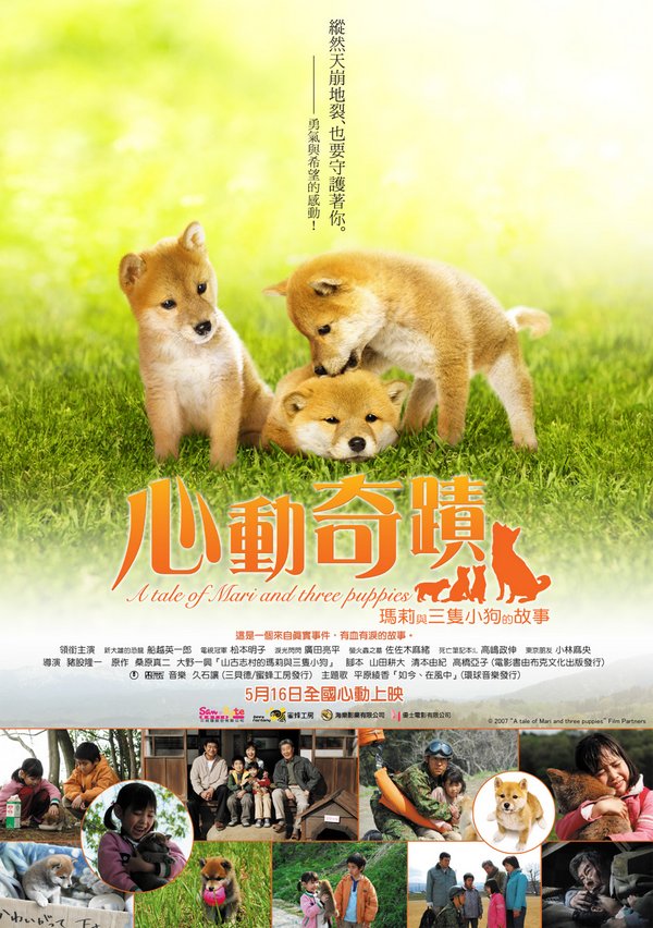 <b><font color='#FF0000'>柴犬奇迹物语HD1280粤语</font></b>