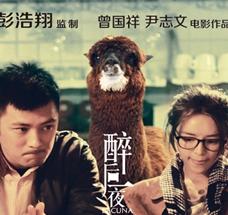 醉后一夜/断了片DVD国