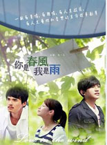 你是春风我是雨港台剧