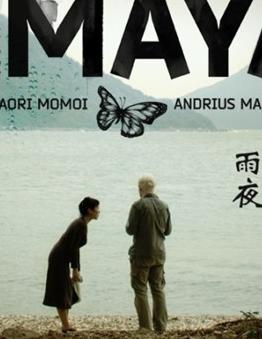 香港机密DVD中字2010香