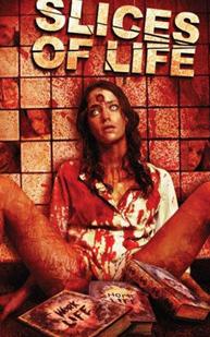 分割人生/生命的切片