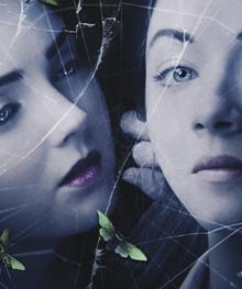 女校恐怖日记/飞蛾日