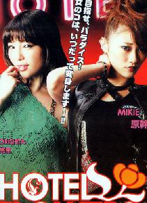 旅店之花DVD中字2012日