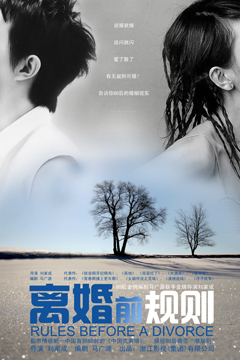 离婚前规则