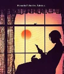 紫色/紫色姊妹花