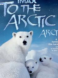 到北极去/北极熊心/破