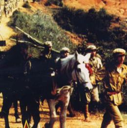 大进军大战宁沪杭