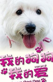 我的狗狗我的爱