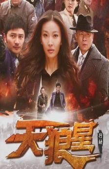 天狼星行动/尖锋