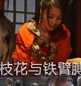 一枝花与铁臂膊