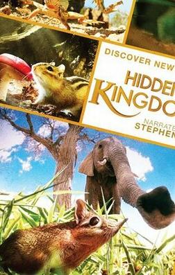 BBC:隐秘王国BD中英双