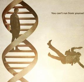 威廉泽罗的重建